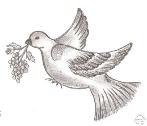 Simple Pencil Drawing In Birds Drawing Of Sketch Bird Drawings