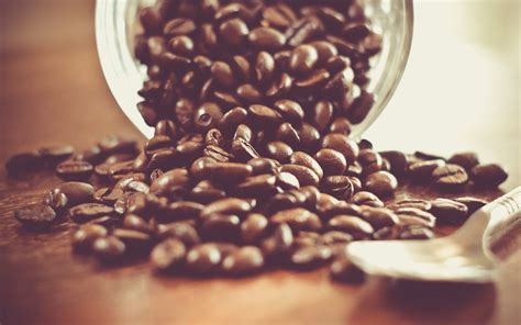 Awesome Coffee Grains Wallpaper 2560x1600 23813