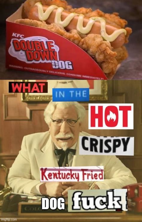 Image Tagged In What In The Hot Crispy Kentucky Fried Frick Imgflip