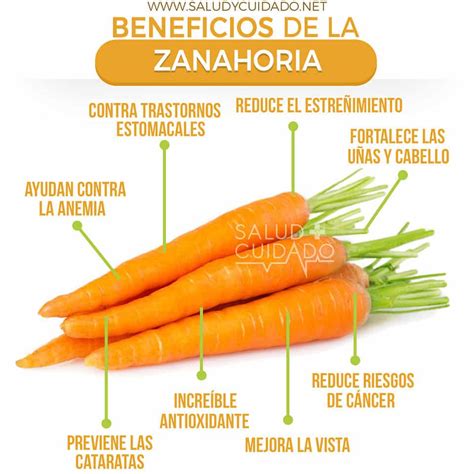 Beneficios De La Zanahoria Y Sus Contraindicaciones