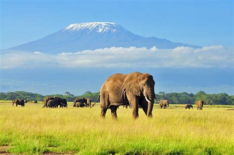 16 Best Places To Visit In Africa Planetware
