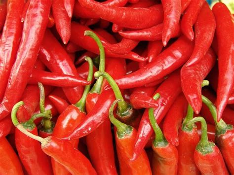 Red Chilly At Best Price In Rajkot By Saviour Overseas Id 4764020355