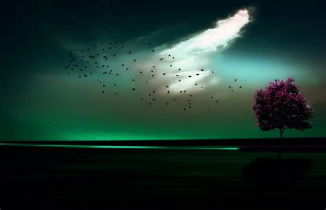 Masaüstü Güneş ışığı Dijital Sanat Gece Yansıma Gökyüzü Resim