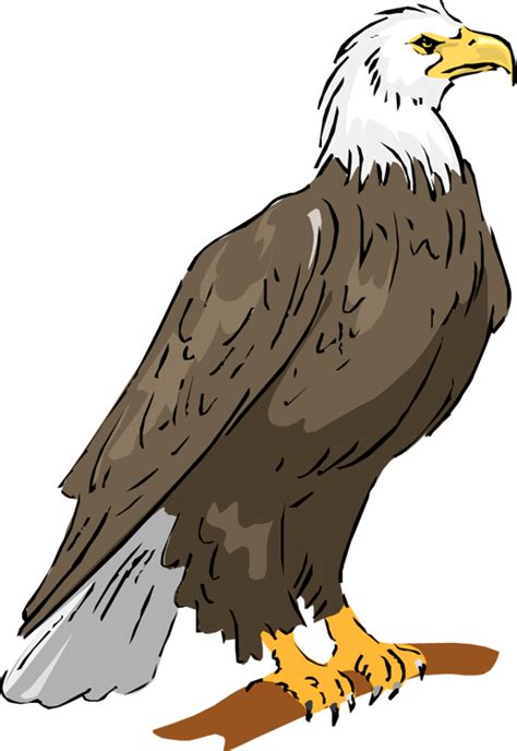 Clip Art Eagle 20 Free Cliparts Download Images On Clipground 2024
