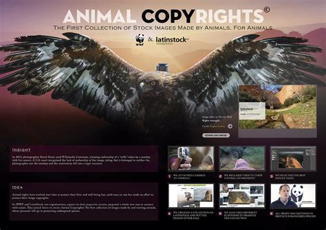 Animal Copyrights On Behance