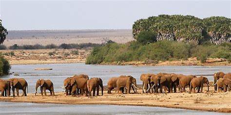 Tsavo West National Park Kenya Safari National Parks
