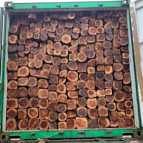 Brown Ecuador Teak Wood Logs At Rs 2600cubic Feet Teak Logs In Tiruppur Id 2851956158197