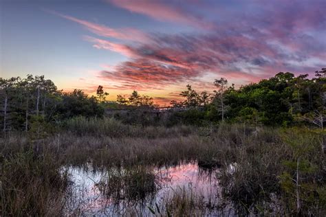 Top Activities In Everglades National Park Oh The Places Youll Go