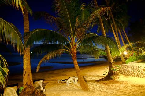 Картинки Таиланд Koh Samui пляжа Море Природа Песок Пальмы 2048x1365