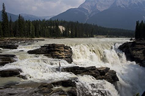 Hd Wallpaper Waterfalls Athabasca Falls Canada Forest Jasper