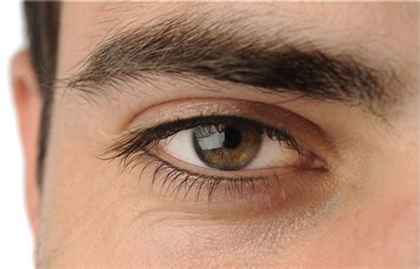 Mens Lash Line Enhancement Eyelash Enhancer Microblading Eyebrows