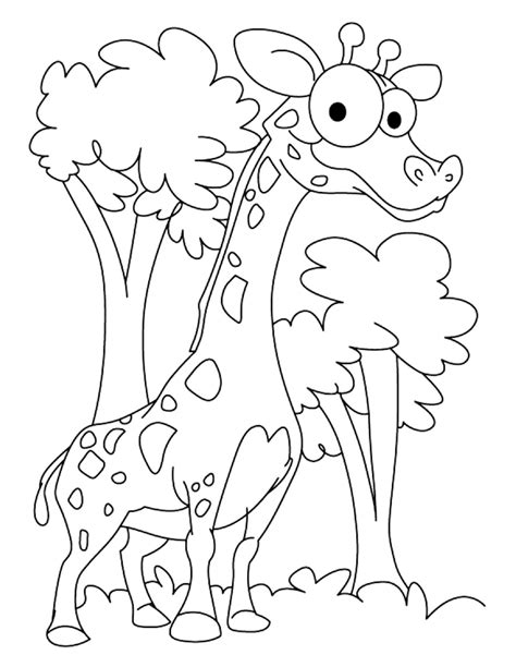 Print & Download - Giraffe Coloring Pages for Kids to Have Fun