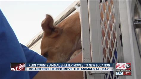 Kern County Animal Shelter Becomes Kern County Animal Services As It