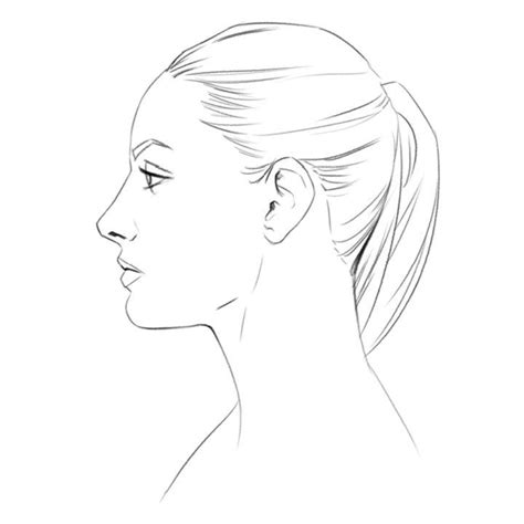 Side Profile Drawing Ideas How To Draw A Side Profile