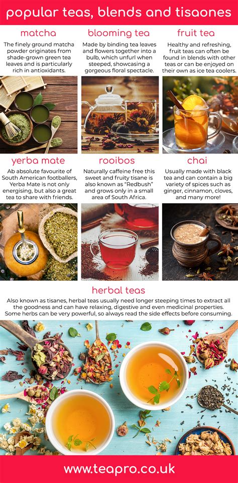 Your Complete Guide Through The Remarkable World Of Tea Teapro