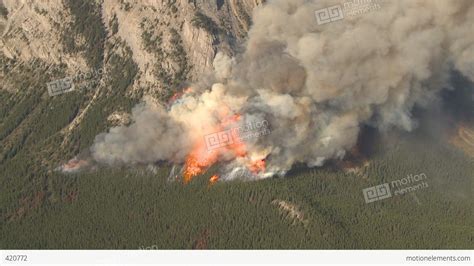 Hd2009 9 37 13 Forest Fire Big Flames Aerial Spectacular Stock Video