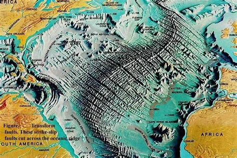 mid-oceanic ridge tectonics | Relief map, Historical maps, Map