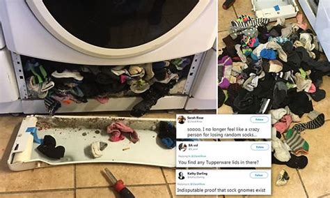 Image Showing How Socks Were Eaten By Washing Machine Goes Viral