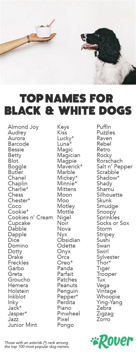 Names For A White And Black Dog