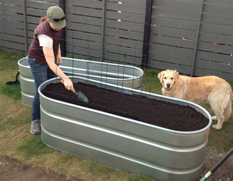 Diy Instructions For Raised Beds Using Galvanized Steel Troughs