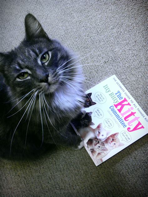 Roger Loves This New Itty Bitty Kitty Committee Book Lots Of Great