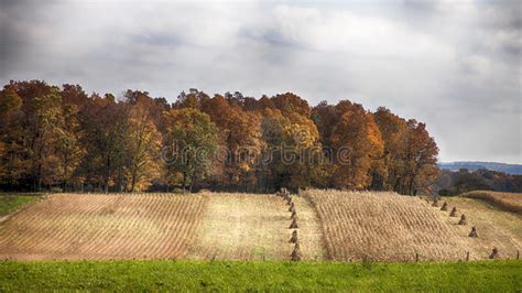 Fall Harvest Landscape Stock Image Image Of Field Amish 45849109