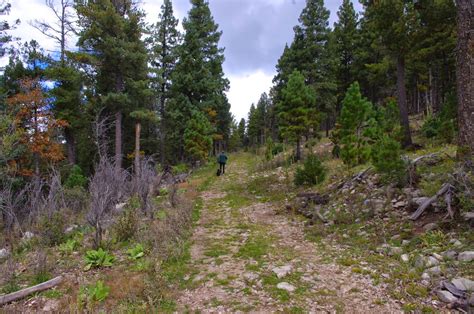 Cloudcroft is nestled in lincoln national forest and backs up to trestle recreation area. Southern New Mexico Explorer: Pumphouse Ridge Trail 3 (FT ...