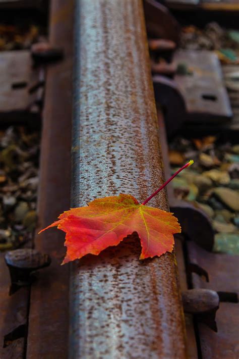 Autumn Leaf On Railroad Tracks Photograph By Garry Gay Fine Art America