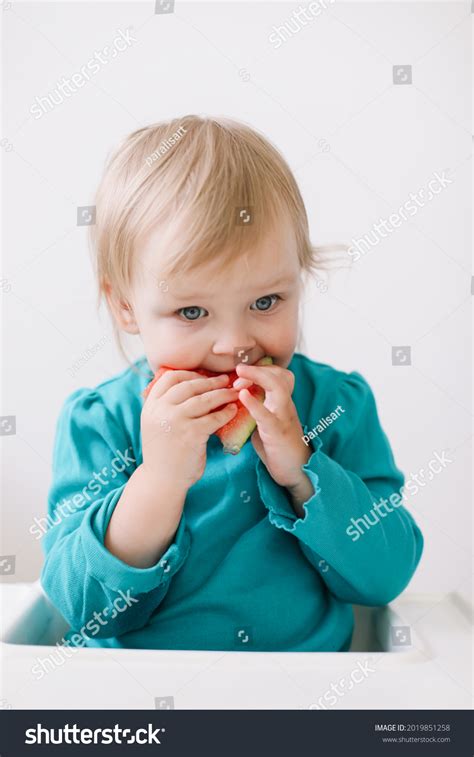 Portrait Funny Little Baby Girl Sitting Stock Photo 2019851258