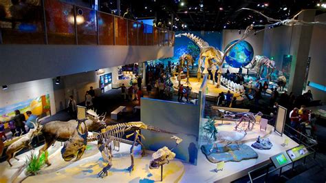 Museo Perot De Naturaleza Y Ciencia En Dallas Estados Unidos