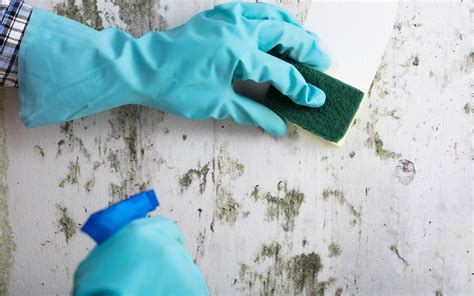 Best Diy Ways To Clean Painted Walls Zameen Blog