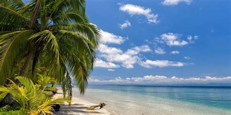 Beautiful Beach Landscape Photography With Coconut Trees