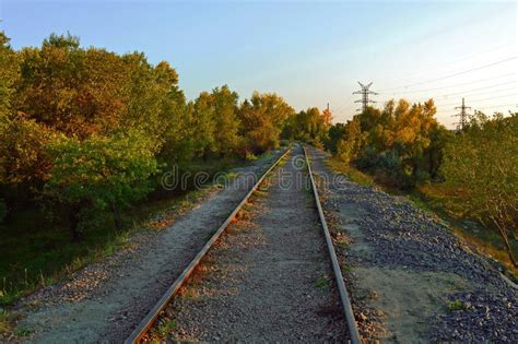 Train Wagons Railroad Perspective Landscape Autumn Weather Stock Photo