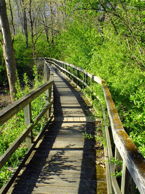 Free Images Boardwalk Track Stair River Staircase Walkway