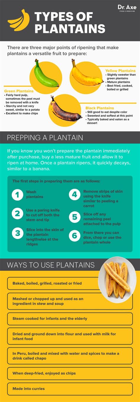 Plantains Nutrition Benefits Recipes And How To Prepare Dr Axe