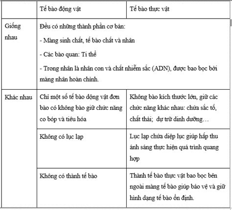 Quan sát hình lập bảng so sánh sự giống nhau và khác nhau về