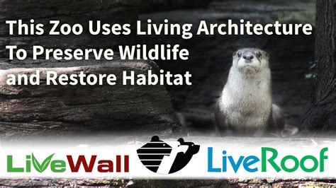 Wildlife Habitat Restoration At John Ball Zoo Through Green Roofs And