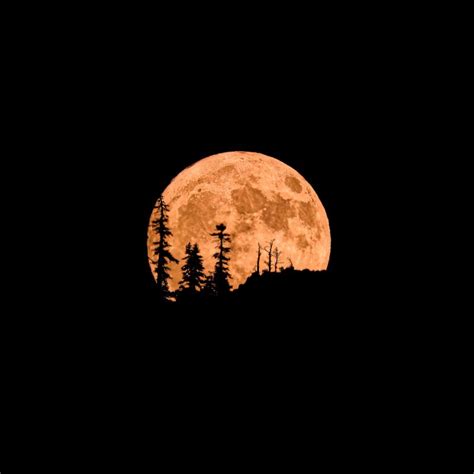The Moon Illusion Makes The Moon Look Huge