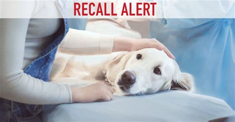 March 6, 2017 blue buffalo co. BREAKING NEWS: Leading Brand Issues Pet Food Recall | The ...