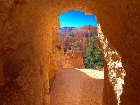 Bryce Canyon National Park Sunrise To Sunset Point Hike Through