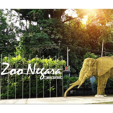 Rm37.50 per pax (13 years old and above) child: Zoo Negara Malaysia Ticket Price Promotion - Mal Blog