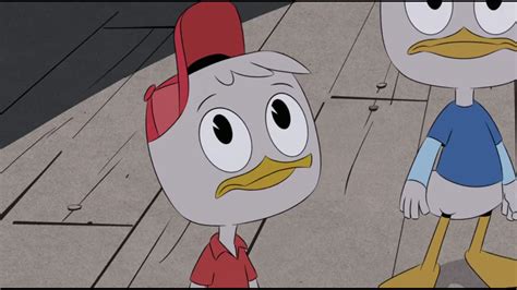 Categoryducktales Characters Fictional Characters Wiki Fandom