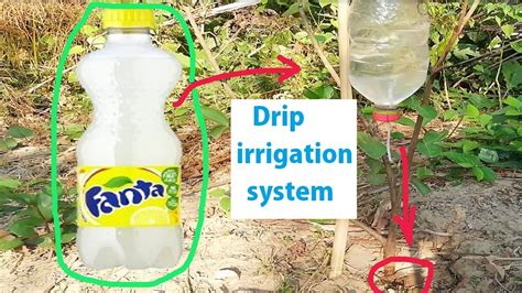 How To Make Best Plastic Bottle Diy Drip Irrigation System For Plants