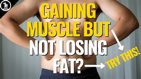 Are You Gaining Muscle But Not Losing Fat You Need This Quick Guide