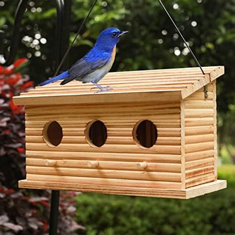 Amazon Bird Houses For Outside Wooden Bird House Outdoor 6 Hole