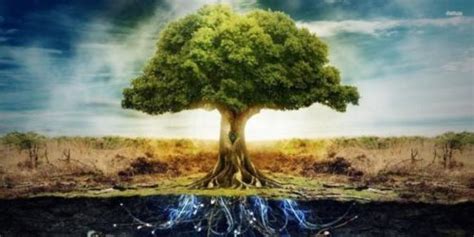 Árvore Da Vida Significados Origens E Muito Mais Saiba Tudo