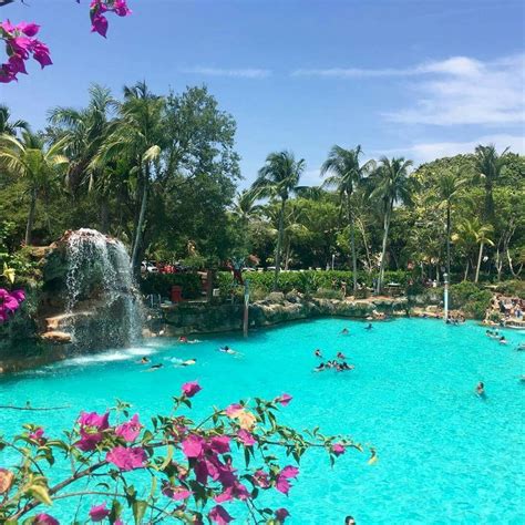 Venetian Pool, Coral Gables, Florida | Visit florida, Florida vacation, Pine island florida
