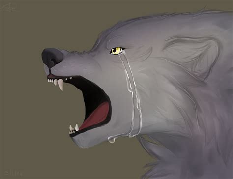 Sad Wolf By Akinal78 On Deviantart