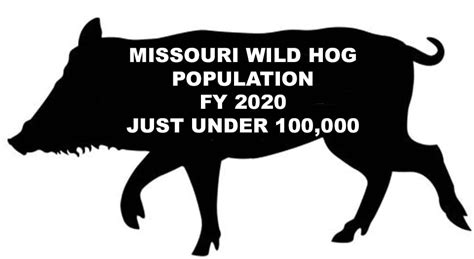 Missouri Feral Hog Budget 2021 North American Wildlife And Habitat