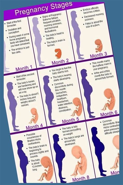 Maybe you would like to learn more about one of these? Pin on Early Pregnancy Tips